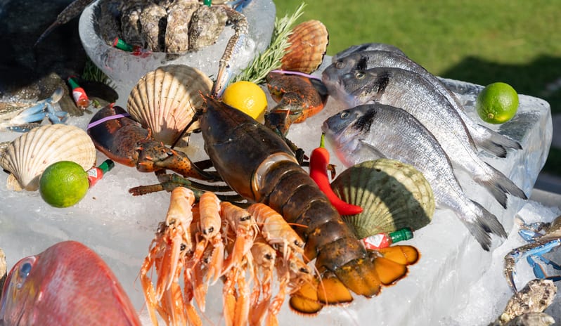 SOL Seafood Grill & Bar(1)